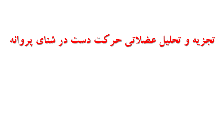 دانلود-پاورپوینت-تجزیه-و-تحلیل-عضلاتی-حرکت-دست-در-شنای-پروانه